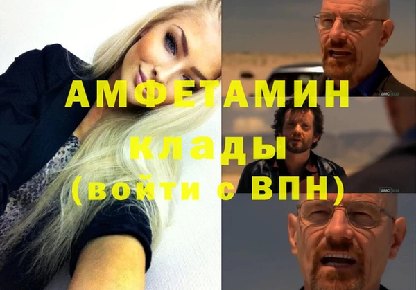 амф Алексин