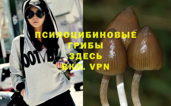 кристаллы Алзамай